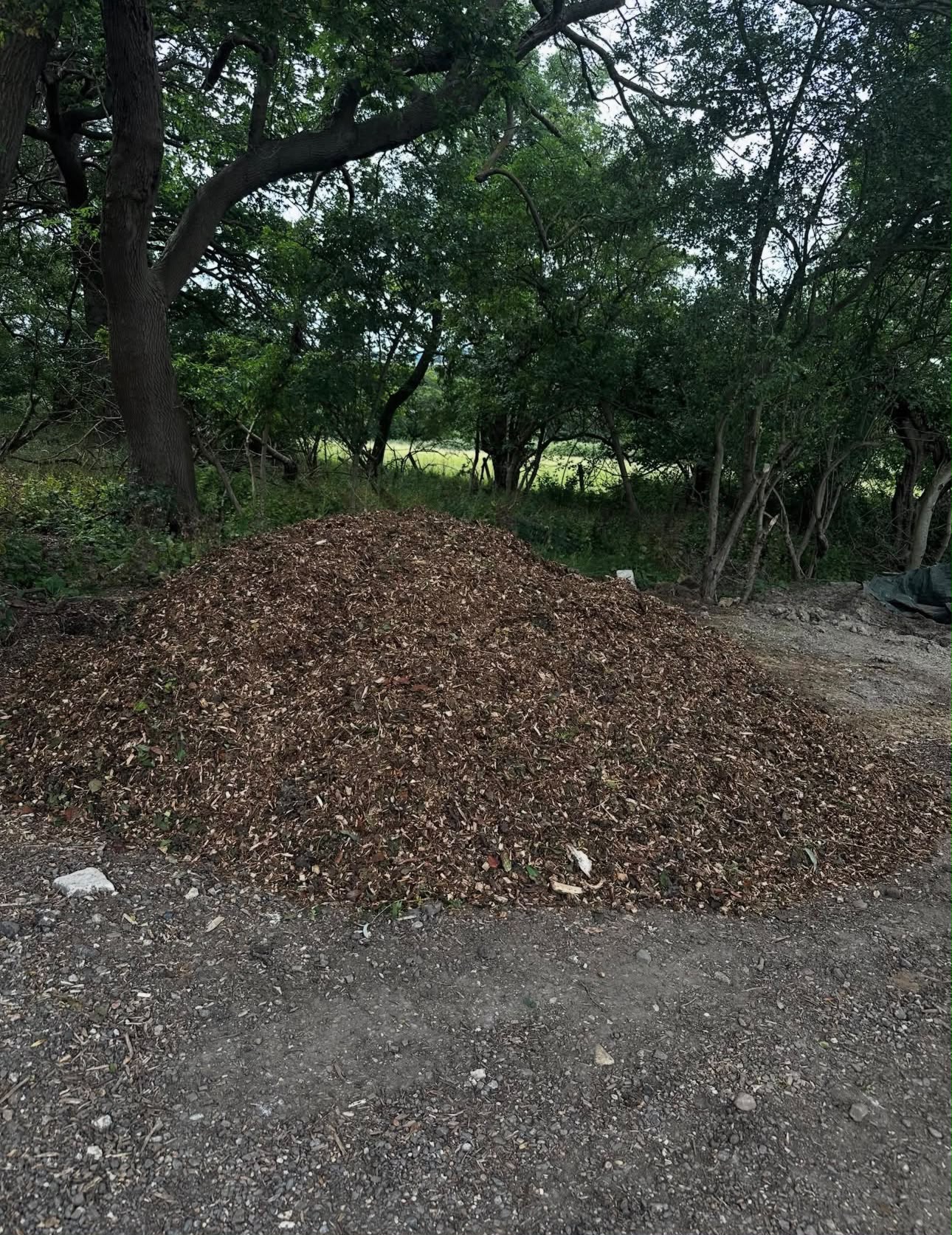 Woodland mulch from recycled tree surgery waste